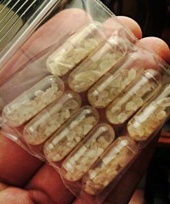 Buy MDMA Ecstasy Capsules