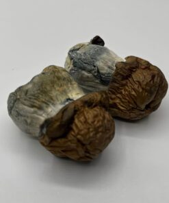 Bluey Vuitton mushroom