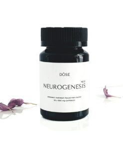 Buy Dose Neurogenesis No.3 Microdose Psilocybin Capsules Online UK