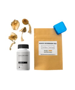 Buy First Timer Magic Mushroom Kit: Psych 101 – An Introduction to Psychedelics Online UK