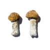 Buy Hero Magic Mushrooms Online UK