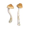 Buy McKennaii Magic Mushrooms Online UK - Buy Magic Mushrooms UK
