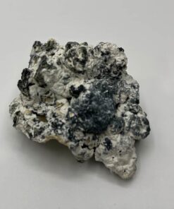 Enigma mushroom strain